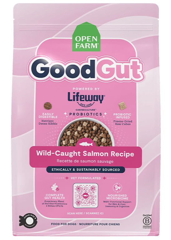 Open Farm GoodGut Wild-Caught Salmon Dog Kibble