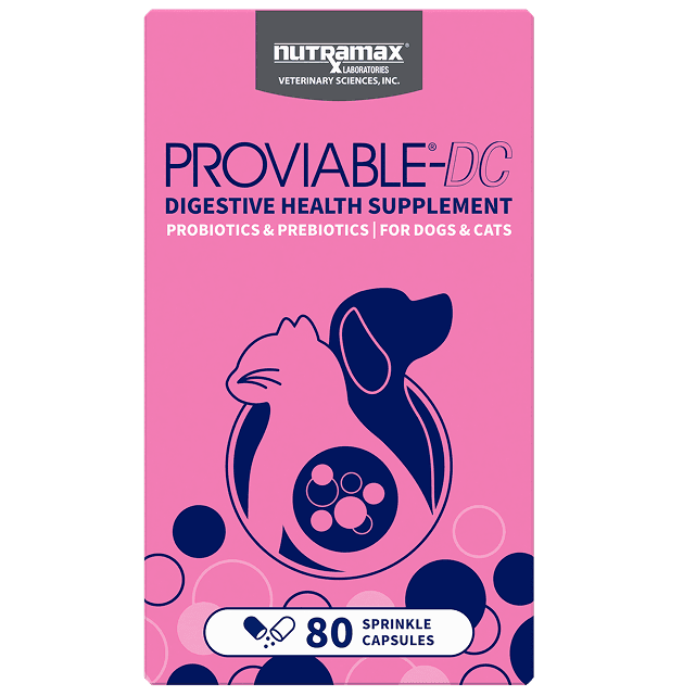Proviable-DC Capsules