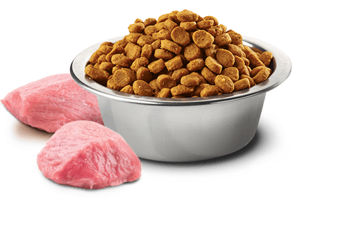 Farmina N&D Prime Chicken and Pomegranate Adult Mini Dry Dog Food