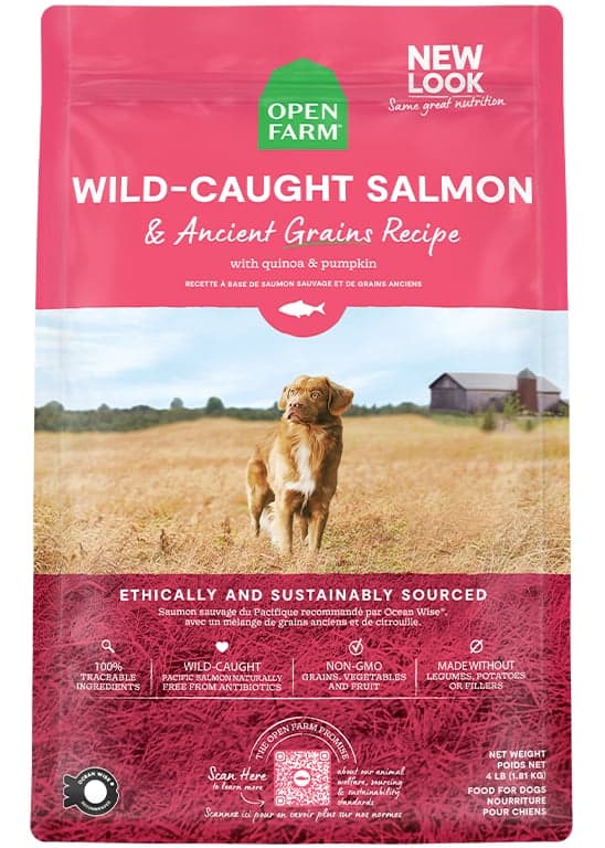 Wild-Caught Salmon & Ancient Grains Dog Kibble