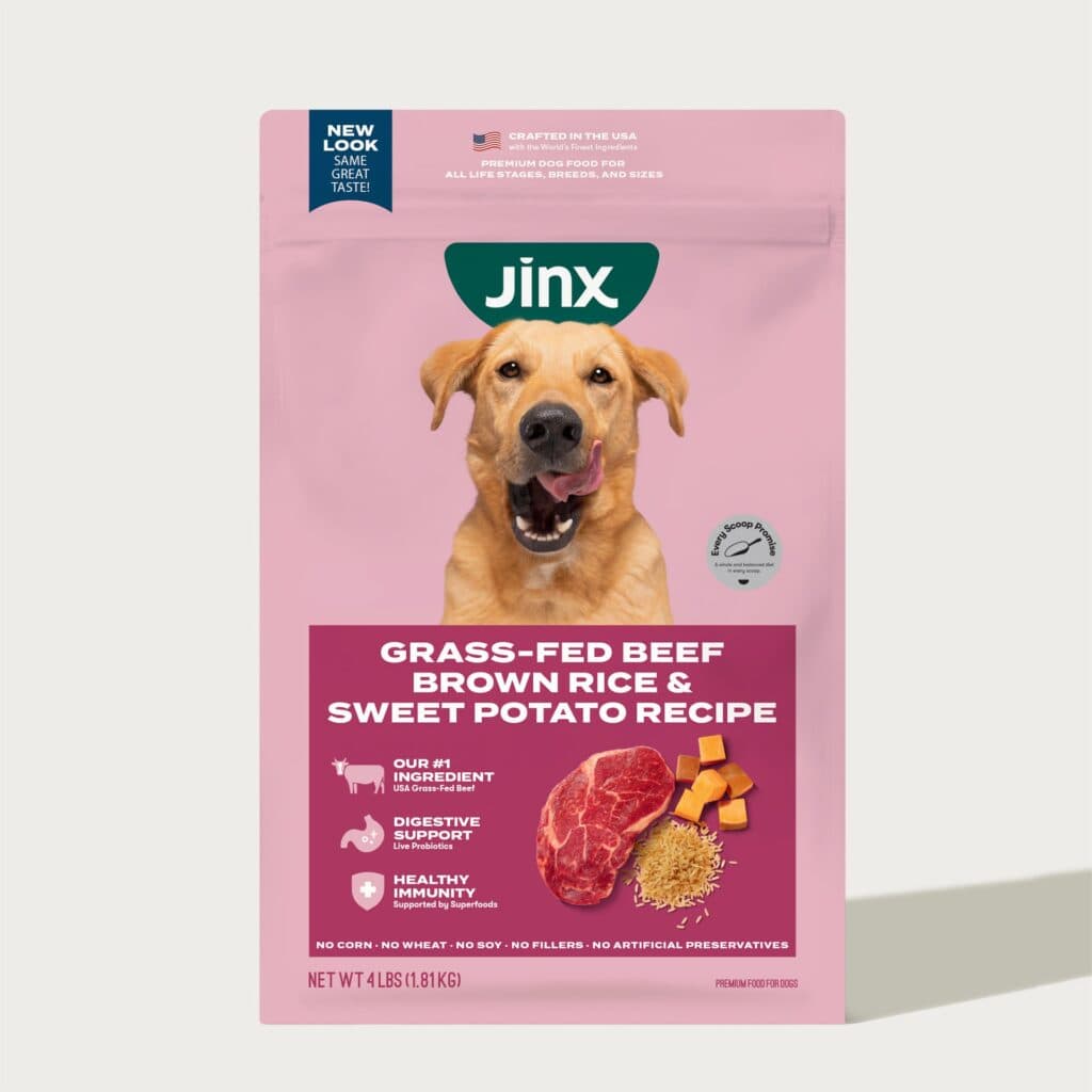 Grass-Fed Beef and Sweet Potato Dry Dog Food